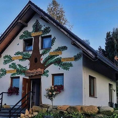 Bukowa Chatka Bukowiec (Lower Silesia) Exterior foto