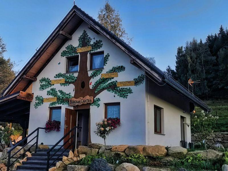 Bukowa Chatka Bukowiec (Lower Silesia) Exterior foto